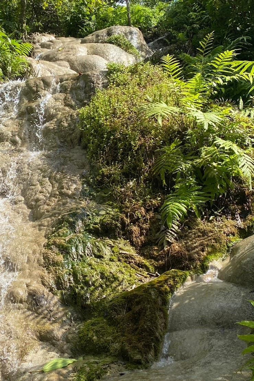 Chiang Mai Half Day Tour: Sticky Waterfall & Hotel Transfer - Inside Bua Tong National Park: what you can realistically do with your time