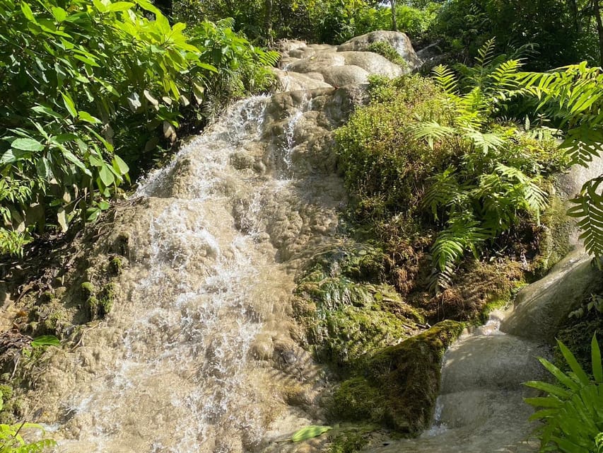 Chiang Mai Half Day Tour: Sticky Waterfall & Hotel Transfer - What this half-day tour includes, and what it deliberately leaves out