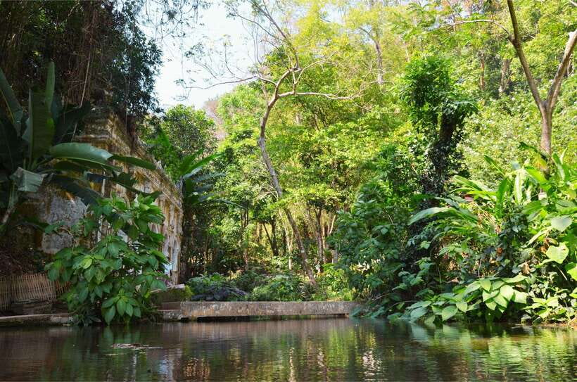 Chiang Mai: Hike on Monk’s Trail and Doi Suthep Private Tour - Price and value at about $57 per person
