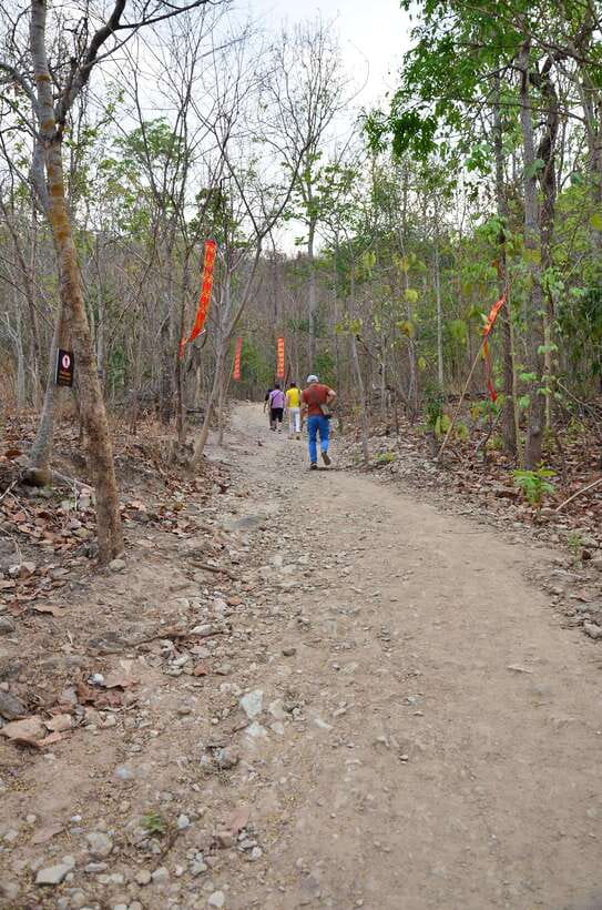 Chiang Mai: Hike on Monk’s Trail and Doi Suthep Private Tour - What to bring, temple dress code, and trail comfort