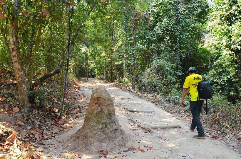 Chiang Mai: Hike on Monk’s Trail and Doi Suthep Private Tour - FAQ