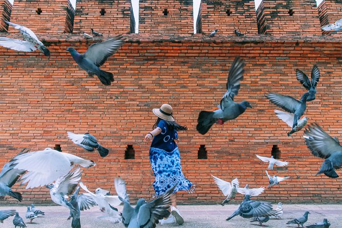 ️ Chiang Mai Instagram Tour: Most Famous Spots (Private and All-Inclusive) - Wat Chedi Luang and Wat Umong: ancient grounds and the woodsier mood