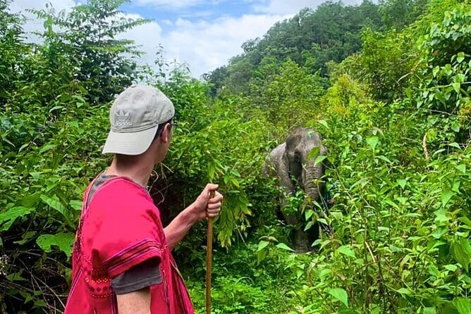 Chiang Mai: Inthanon, Elephant Sanctuary Observation & Waterfall - Karen Culture Moment: Clothing, Forest Living, and Handmade Souvenirs