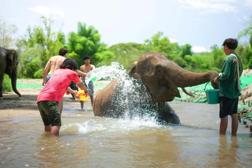 Chiang Mai: Jungle Jumbo Elephant Sanctuary with Waterfall - Key highlights to know before you go