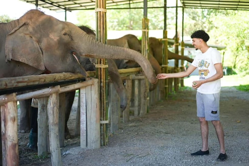 Chiang Mai: Jungle Jumbo Elephant Sanctuary with Waterfall - Thai village walk: culture first, but expect it to be brief