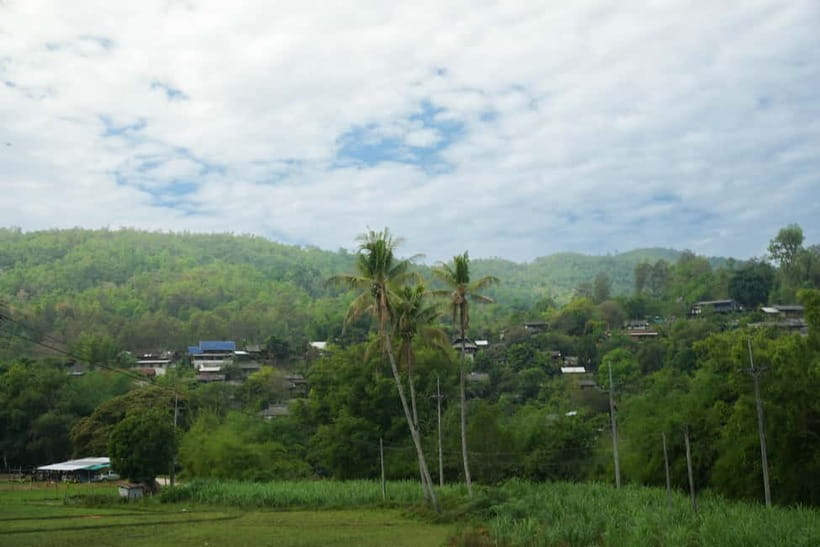 Chiang Mai: Jungle Jumbo Elephant Sanctuary with Waterfall - Lunch and snacks: a simple Thai finish that actually helps