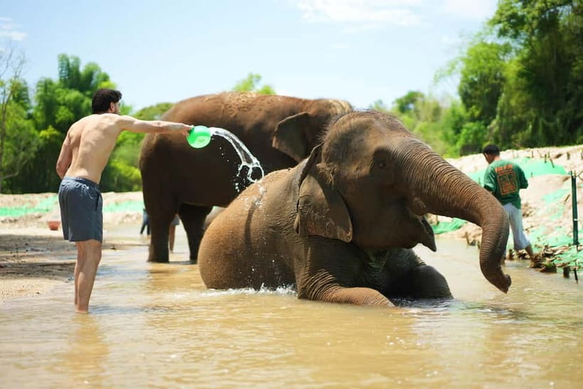 Chiang Mai: Jungle Jumbo Elephant Sanctuary with Waterfall - Pickup, transfers, and the small-group reality in Chiang Mai