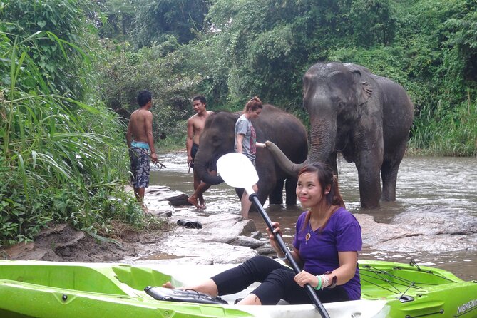 Chiang Mai: Jungle Kayak Adventure with Rapids & Elephants - Choosing your boat: kayaks vs sit-on-top for your comfort level