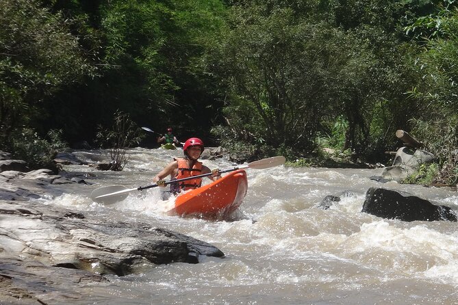 Chiang Mai: Jungle Kayak Adventure with Rapids & Elephants - Upper Mae Wang River: paddling Class I and II with wildlife breaks