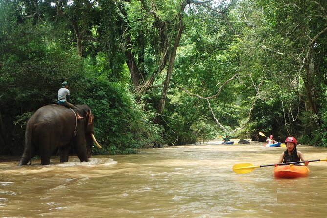 Chiang Mai: Jungle Kayak Adventure with Rapids & Elephants - How the guides shape your day, without taking over