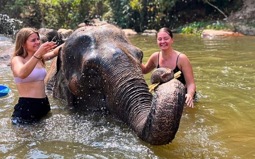 Chiang Mai: Jungle Trek, Elephants care & Bamboo Rafting - Key points worth knowing before you go