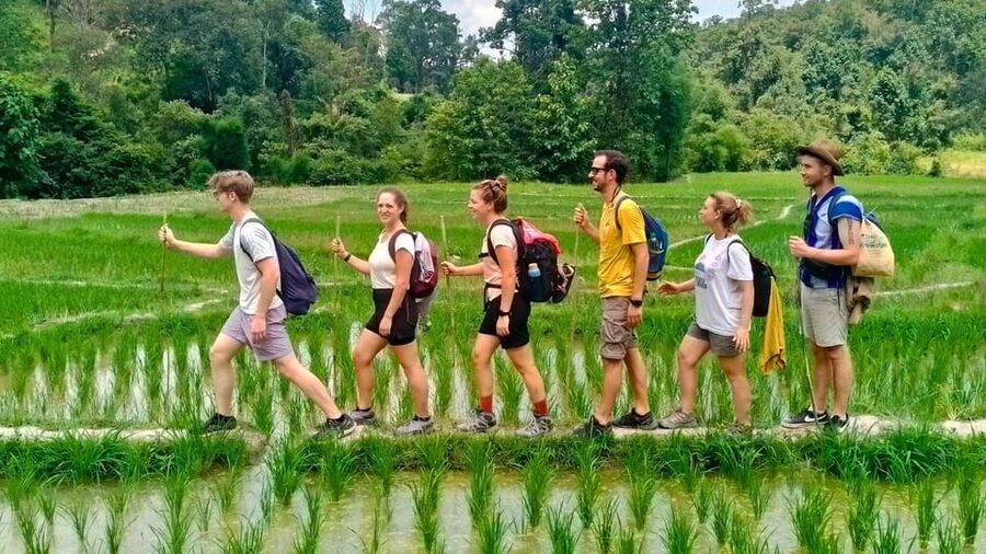 Chiang Mai: Jungle Trek, Elephants care & Bamboo Rafting - Karen Hill Tribe Village visit: culture plus farming context