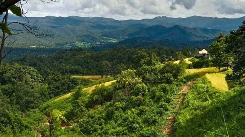 Chiang Mai: Jungle Trek, Elephants care & Bamboo Rafting - Waterfall time, packed lunch, and the swim decision