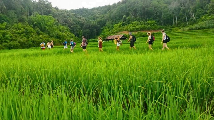 Chiang Mai: Jungle Trek, Elephants care & Bamboo Rafting - The elephant care mismatch: confirm what you will actually do