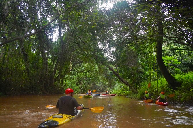 Chiang Mai : Kayak the Jungle Rivers of Chiang Dao Valley! - Beginner instruction that actually sets you up