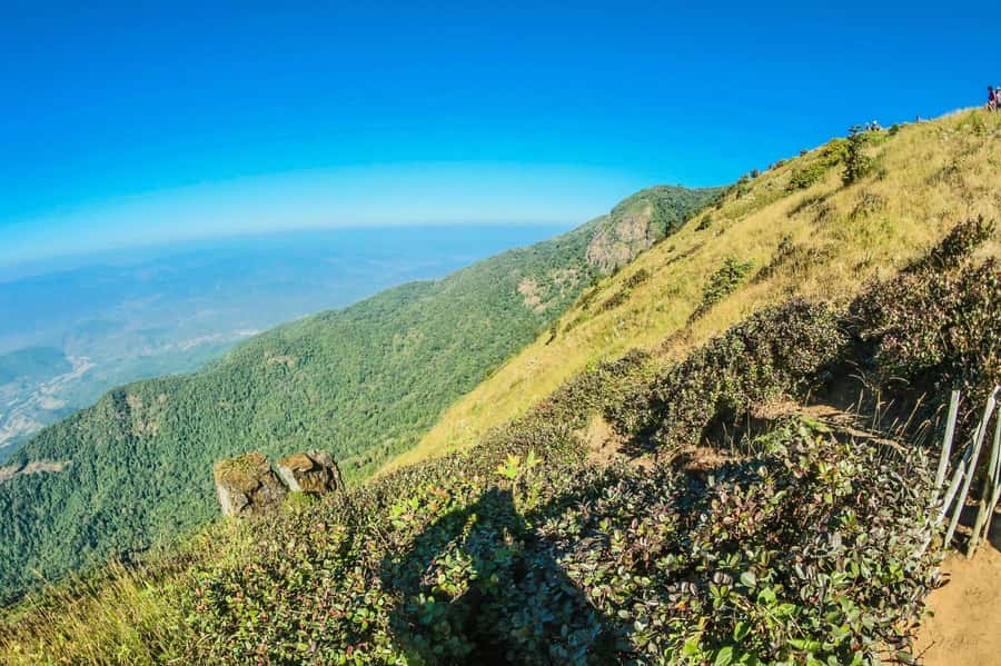 Chiang Mai: Kew Mae Pan Nature Trail & Doi Inthanon Day Trip - Kew Mae Pan Nature Trail: a guided forest walk with a wooden walkway