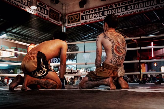 Chiang Mai Muay Thai Boxing Live at Thapae Stadium - Price and Value: Is $32.17 Worth It?