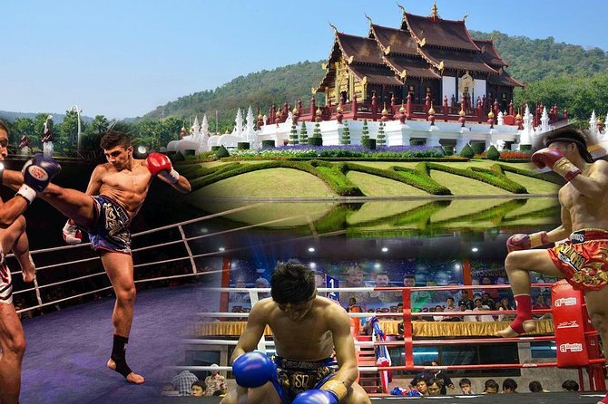 Chiang Mai Muay Thai Boxing Live at Thapae Stadium - The Evening Flow: What Happens After You Arrive