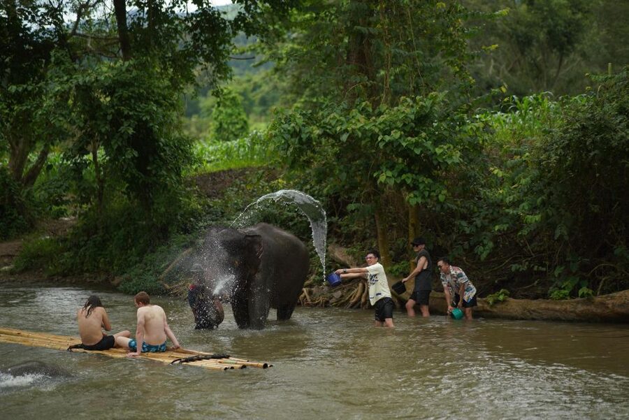 Chiang Mai: National Elephant Care, Rafting, & Ziplines Trip - Making herbal vitamin balls (and why it matters)