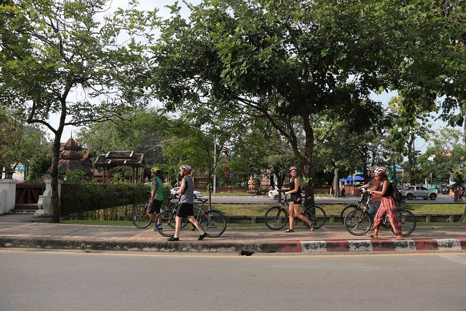 Chiang Mai Night Bike Tour - Price and what you really get for $35