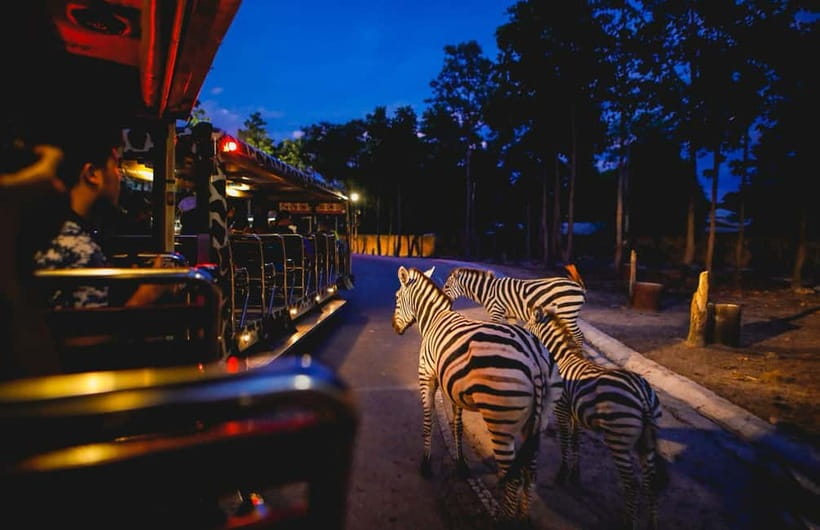 Chiang Mai Night Safari Ticket & Tram Rides Optional Pickup - Chiang Mai Night Safari: Tram-Start, Self-Guided Evening