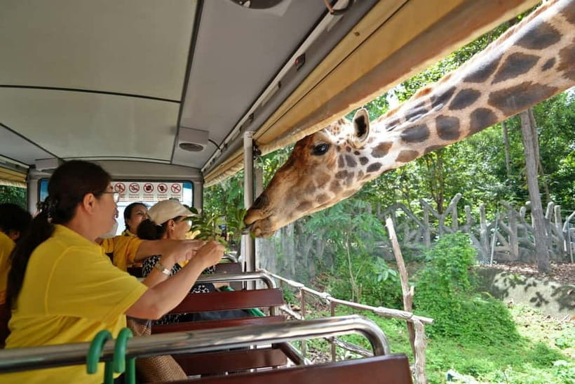 Chiang Mai Night Safari Ticket & Tram Rides Optional Pickup - Optional Hotel Pickup: Where It Starts, Where You Meet