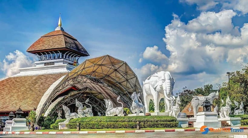 Chiang Mai Night Safari Ticket & Tram Rides Optional Pickup - Should You Book This Chiang Mai Night Safari Ticket?
