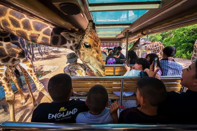 Chiang Mai Night Safari Ticket & Tram Rides Optional Pickup - The Tram Rides Through Savannah and Predator Zones