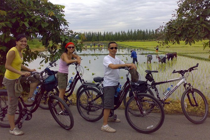 Chiang Mai Paradise Full-Day Cycling Adventure Tour - A relaxed 8-hour countryside circuit along the Ping River
