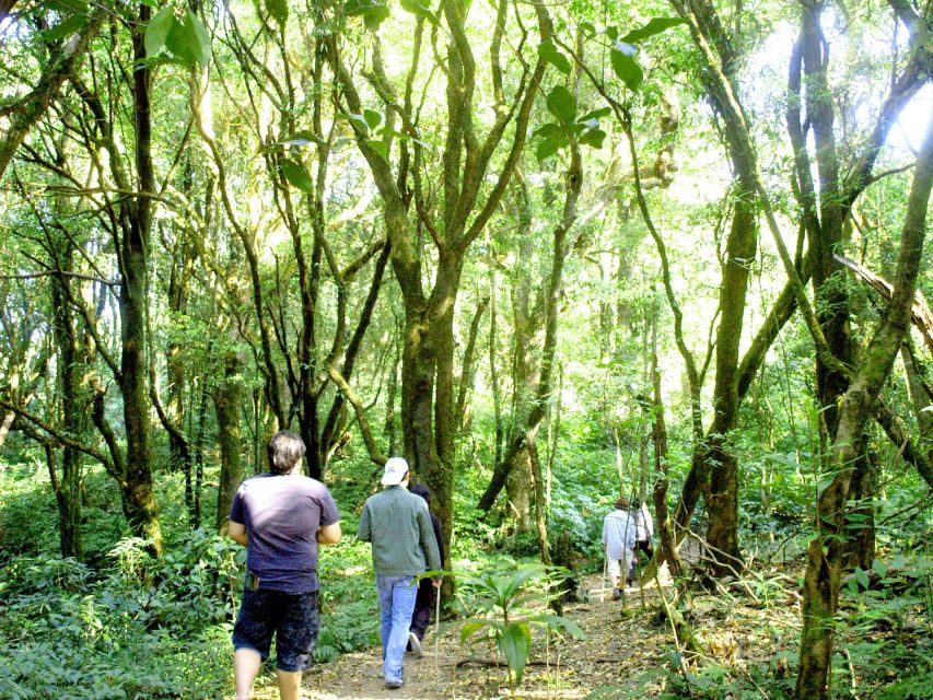 Chiang Mai: Pha Dok Siew Nature Trail & Doi Inthanon Trip - Key things I’d put on your radar