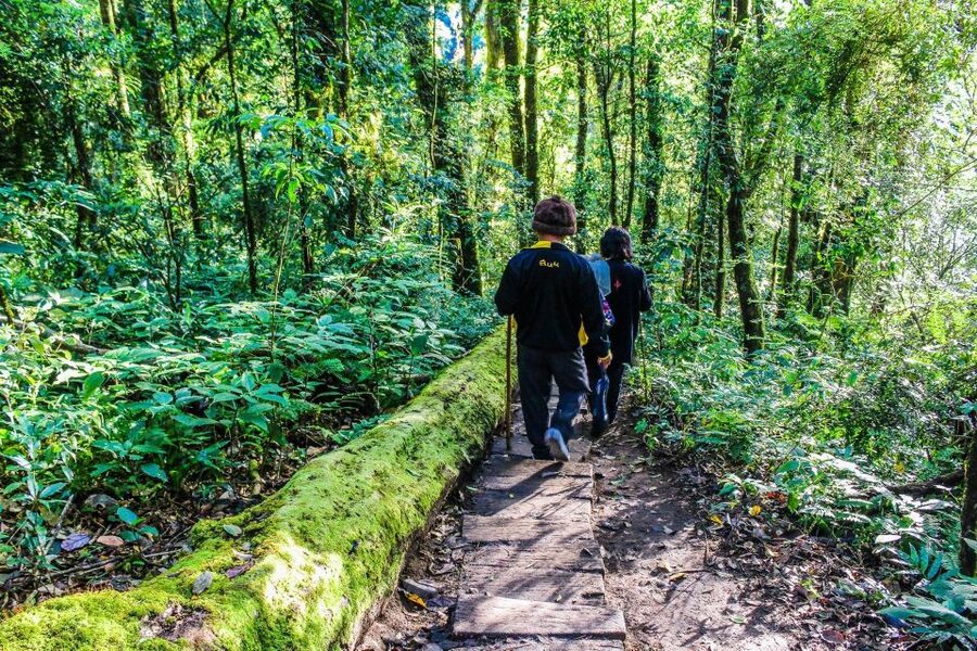 Chiang Mai: Pha Dok Siew Nature Trail & Doi Inthanon Trip - Cost and Value: What You’re Really Paying For