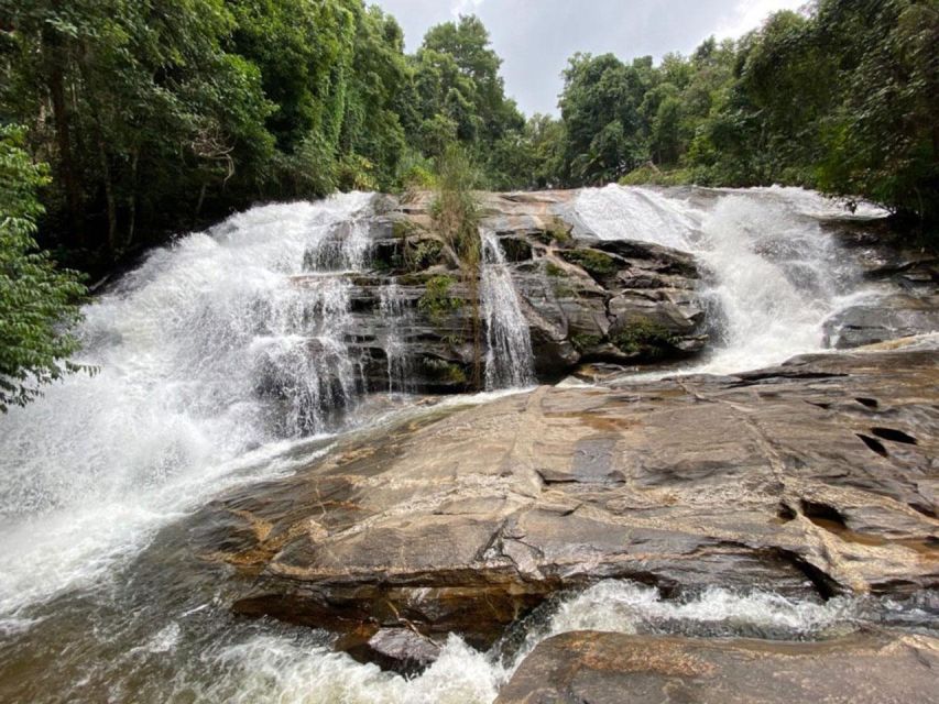 Chiang Mai: Pha Dok Siew Nature Trail & Doi Inthanon Trip - Pha Dok Siew Trail: A 2-Hour Walk With Waterfalls and Plant Clues