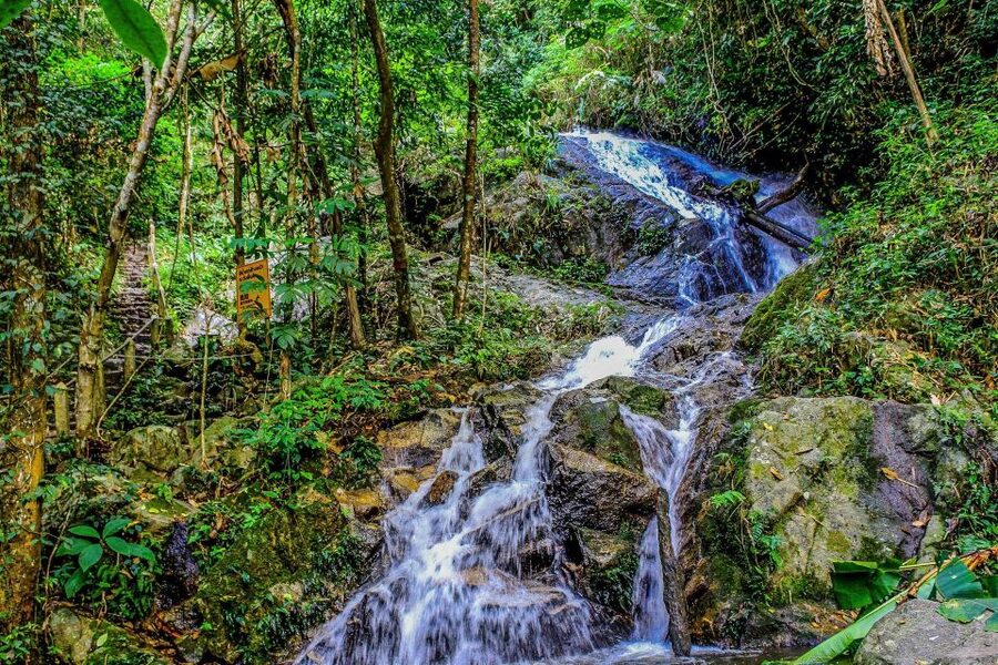 Chiang Mai: Pha Dok Siew Nature Trail & Doi Inthanon Trip - King and Queen Pagodas: Great Views, Tight Timing, Clear Rules