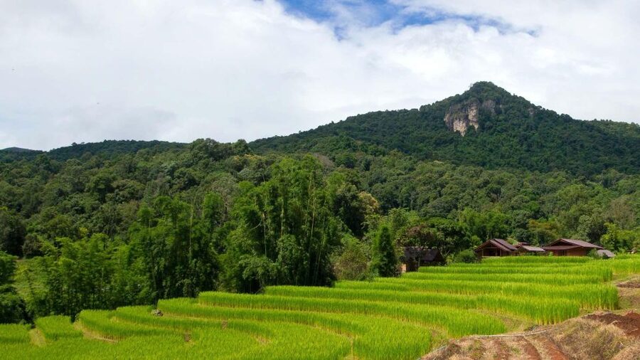 Chiang Mai: Pha Dok Siew Nature Trail & Doi Inthanon Trip - The Hmong Market Finish: Souvenirs and Snacks After the Hiking