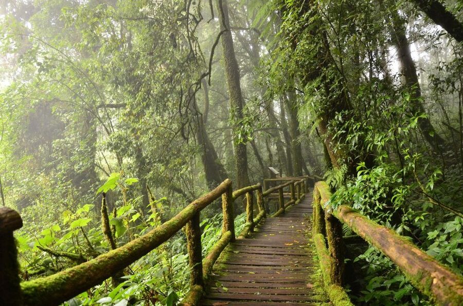 Chiang Mai: Pha Dok Siew Nature Trail & Doi Inthanon Trip - Getting Picked Up in Chiang Mai Without Losing the Morning