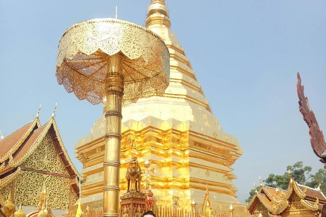 Chiang Mai Private Tour with Tea Plantation, Karen Village, Doi Suthep - A full-day Chiang Mai route that actually feels like a journey