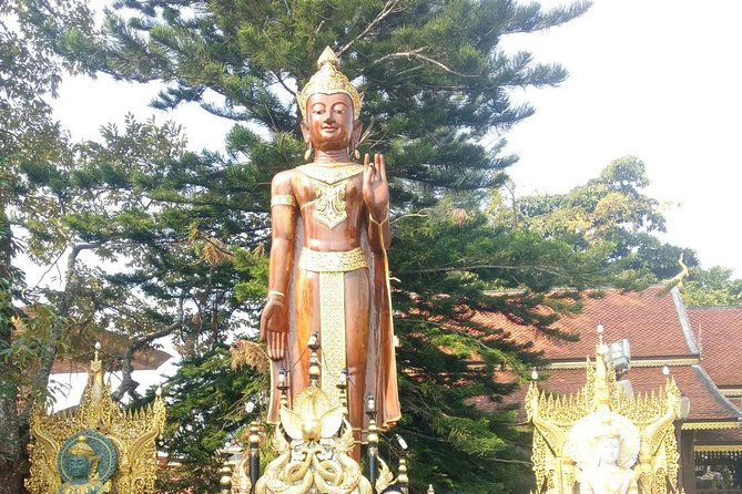 Chiang Mai Private Tour with Tea Plantation, Karen Village, Doi Suthep - Guide-host energy is the secret ingredient