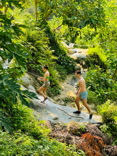 Chiang Mai:Sticky Watefall private tour with lunch - Price and Value at Around $45 Per Person: What You Get For Your Money
