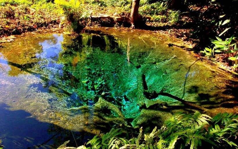 Chiang Mai: Sticky Waterfall, Chet Si Fountain Park Transfer - Why Sticky Waterfall Feels Like a Nature Science Experiment