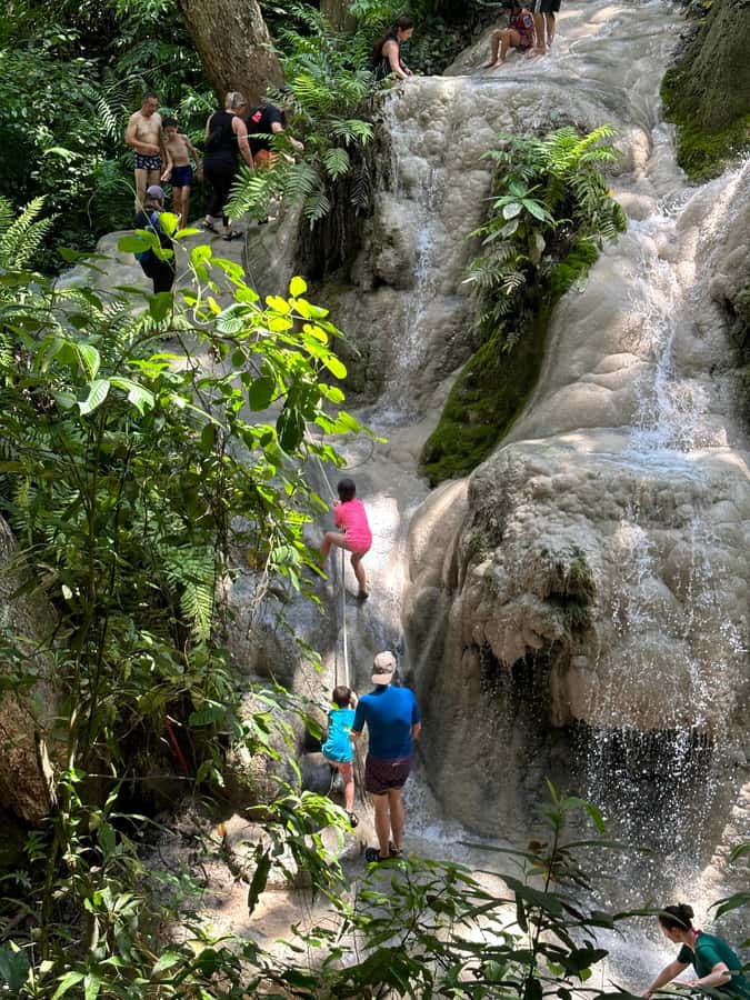 Chiang Mai : Sticky waterfall (Half Day Tour) Hotel Transfer - Key things you’ll notice on this sticky waterfall tour