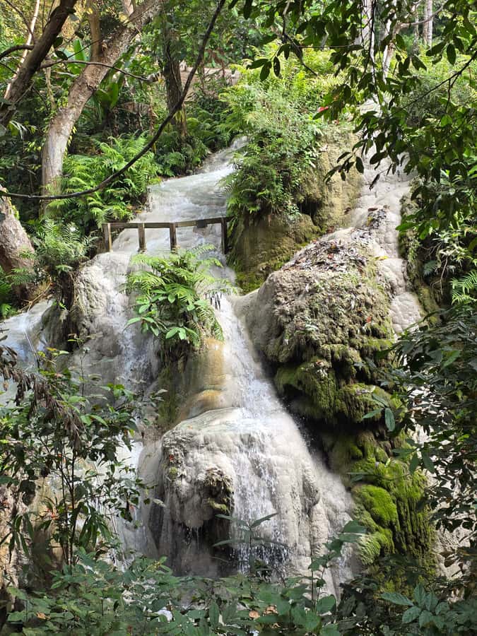 Chiang Mai : Sticky waterfall (Half Day Tour) Hotel Transfer - What’s included, what you need to pay for yourself