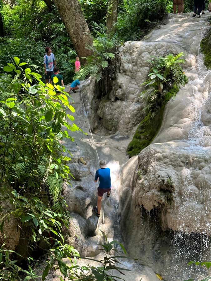 Chiang Mai : Sticky waterfall (Half Day Tour) Hotel Transfer - Should you book this half-day Sticky Waterfall with hotel transfer?