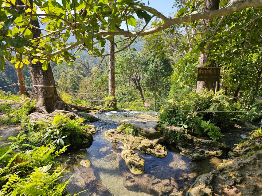 Chiang Mai: Sticky Waterfall Half-Day Tour & Hotel Transfers - Key highlights worth planning for
