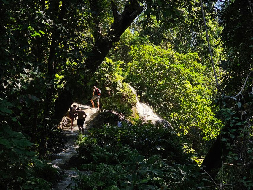 Chiang Mai: Sticky Waterfall Half-Day Tour & Hotel Transfers - Getting from downtown Chiang Mai to Bua Thong by songthaew-style transfer