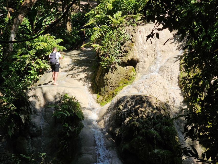 Chiang Mai: Sticky Waterfall Half-Day Tour & Hotel Transfers - The sticky limestone climb: how to make the most of your self-guided time