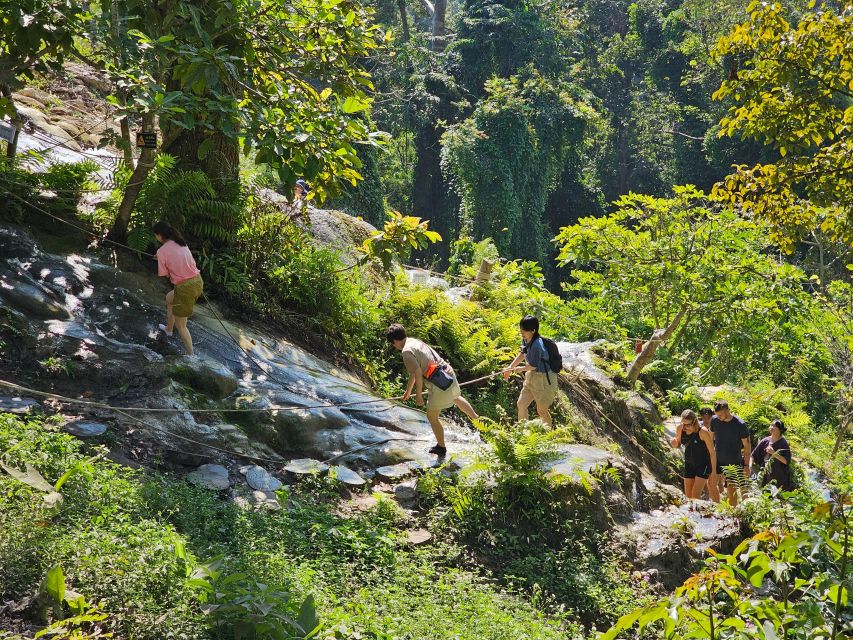 Chiang Mai: Sticky Waterfall Half-Day Tour & Hotel Transfers - Reaching the top: blue-green pool views, shade breaks, and swimming