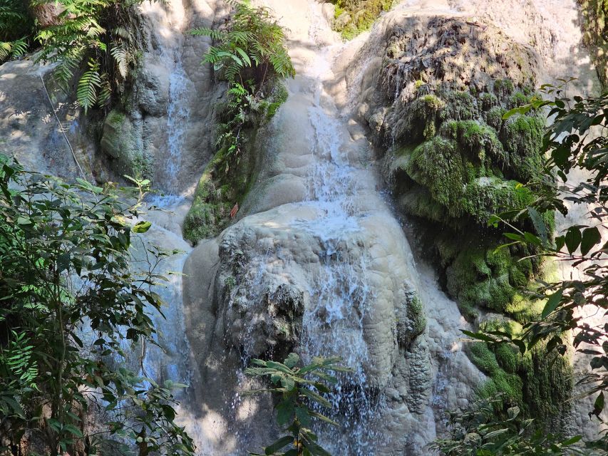 Chiang Mai: Sticky Waterfall Half-Day Tour & Hotel Transfers - Timing matters: morning quiet vs afternoon crowds at the falls