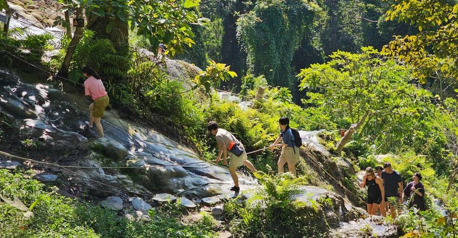 Chiang Mai: Sticky Waterfall Half-Day Tour & Hotel Transfers - What you pay for: value of transfers, park entry, and insurance