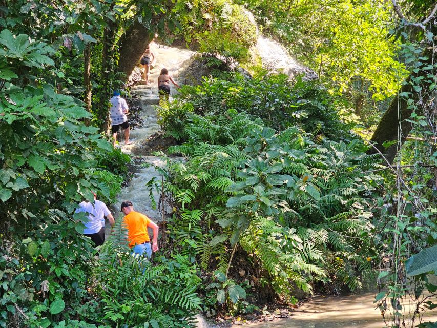 Chiang Mai: Sticky Waterfall Half-Day Tour & Hotel Transfers - The packing list that keeps the sticky waterfall fun