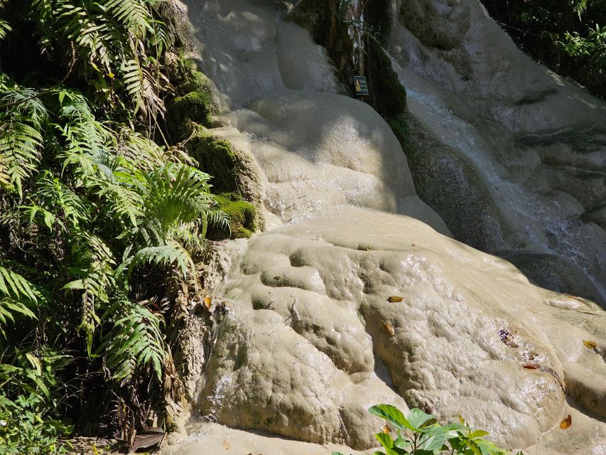 Chiang Mai: Sticky Waterfall Half-Day Tour & Hotel Transfers - Who this tour suits best, and who might want a different style